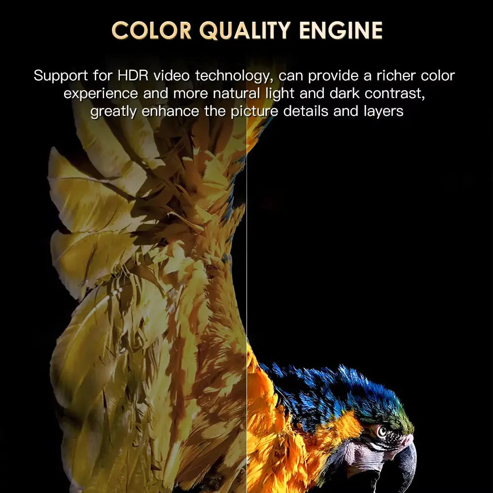 H20PRO Android 10 TV Box with 16GB Storage, Dual Band Wi-Fi, 4K HD Video 